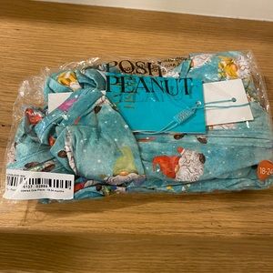 Posh Peanut Teal Blue Gnome Print Toddler Pajama Set